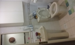 The Tanamera (D16), Condominium #174821452